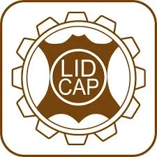 Telangana State Leather Industries Promotion Corporation Limited